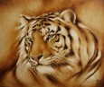 Тигр 139