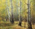 Осенний лес 301
