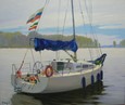 Яхта - ветер 31