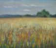 Пшенипчное поле 204